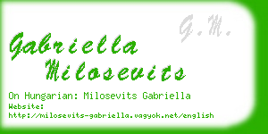 gabriella milosevits business card